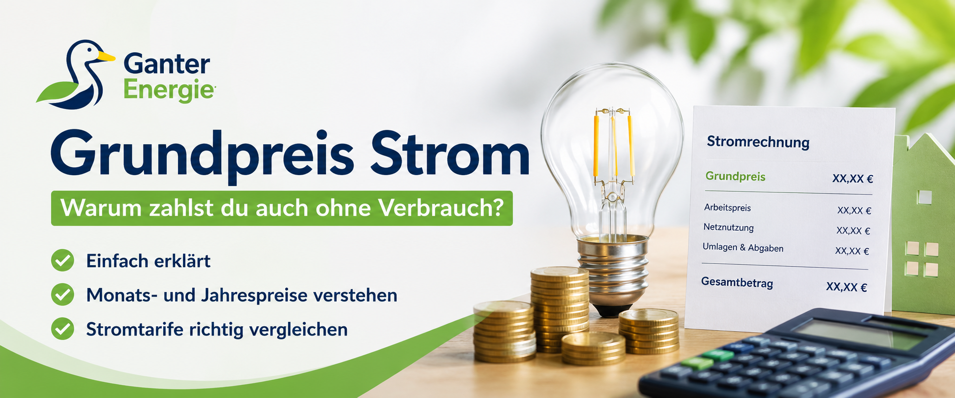 Grundpreis Strom einfach erklärt: Warum zahlst du auch ohne Verbrauch?