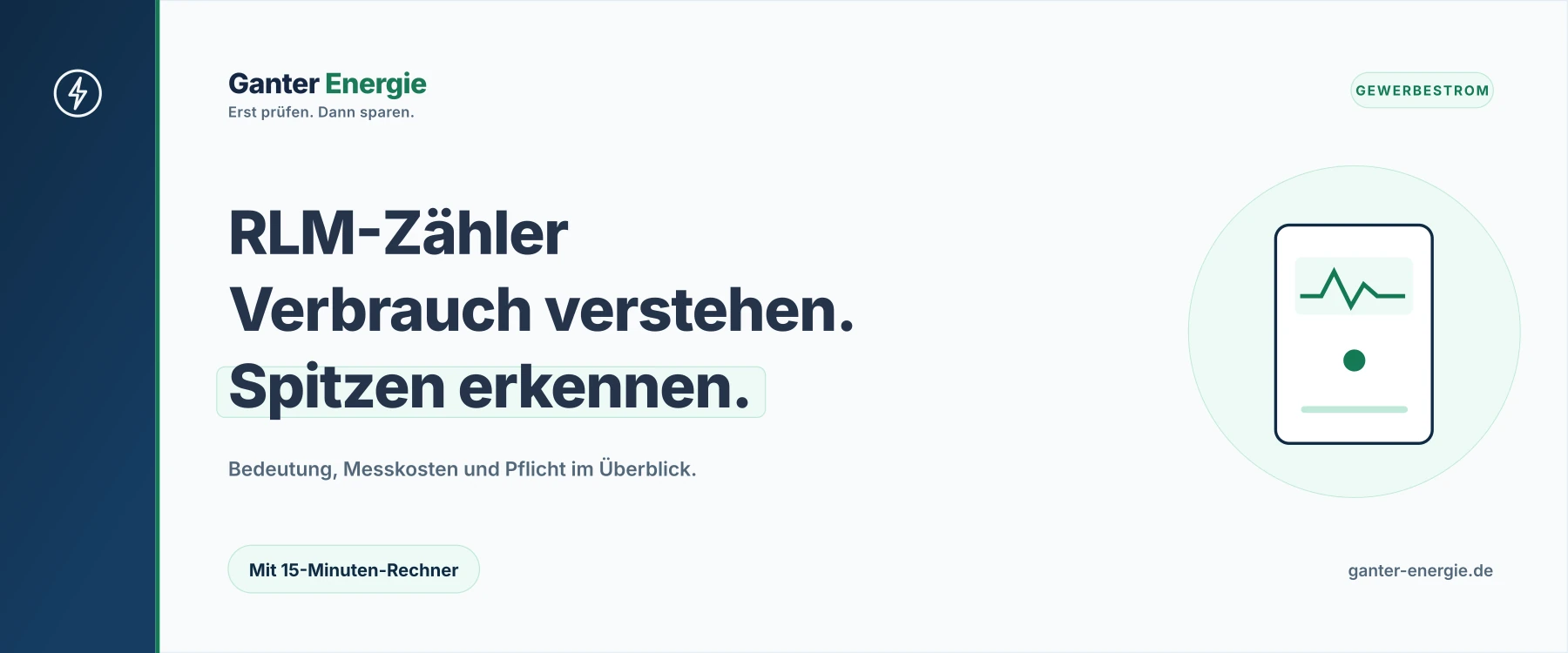 RLM-Zähler: Registrierende Leistungsmessung, Kosten und Pflicht